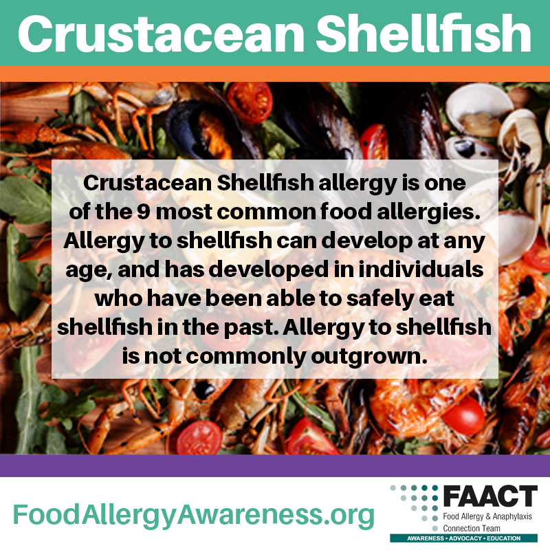 Crustacean Shellfish Allergy